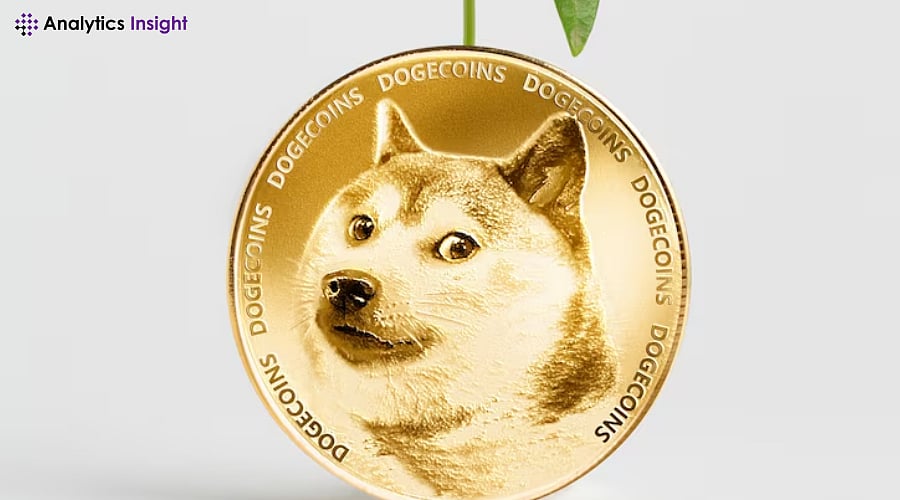 Will Dogecoin Hold Strong or Crumble Under $0.31 Pressure?