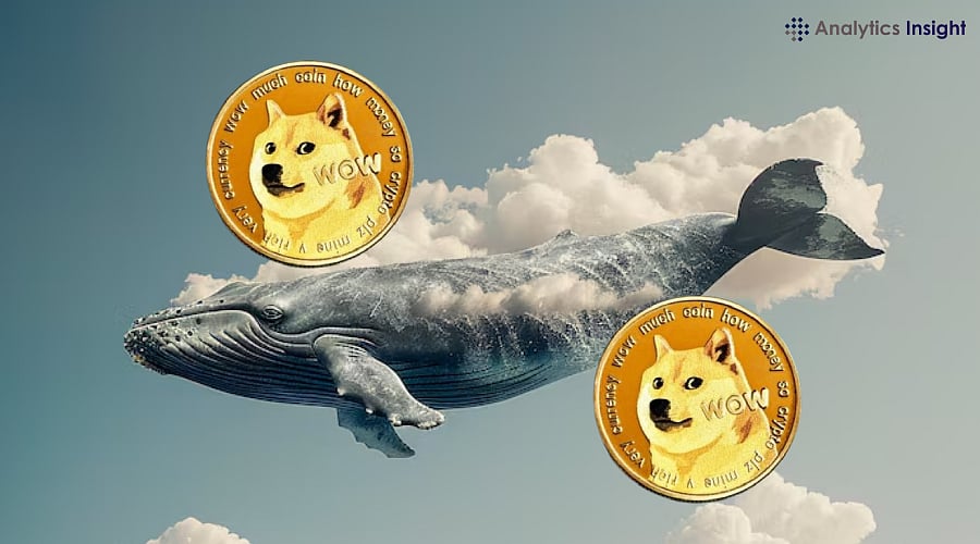 Dogecoin Jumps Higher Amid Rising Whale Confidence Signals and Bullish  Breakout Setup