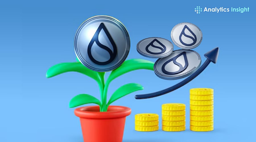 Top Sui Ecosystem Coins by Market Cap in 2025