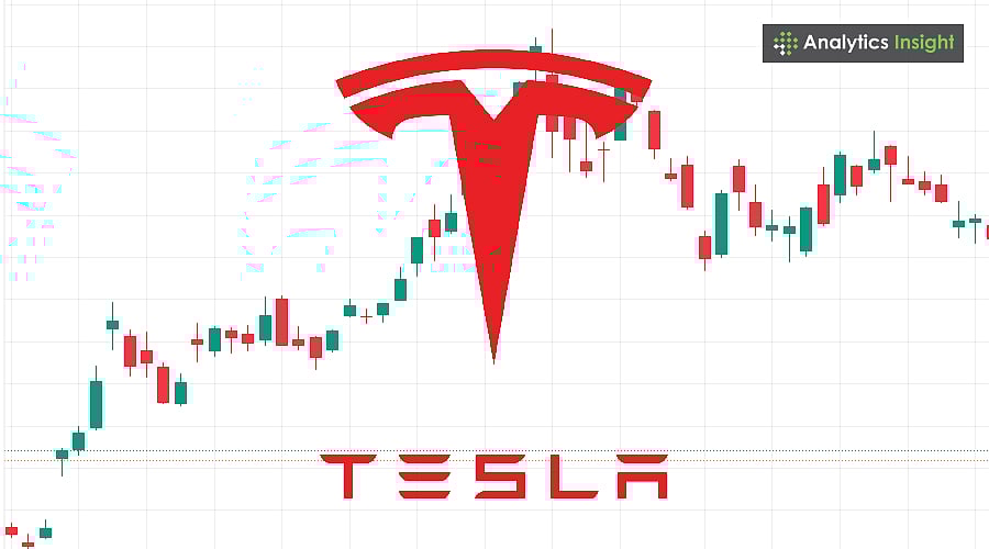 Tesla Stock Price Falls to $294 After US EV Tax Credit Removal