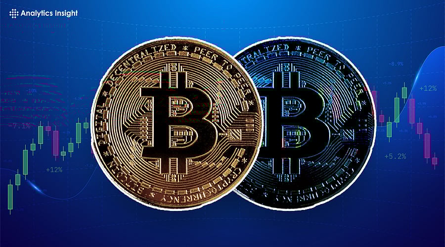 Top 5 Free Metrics to Help You Invest in Bitcoin