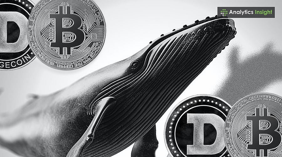 Are Meme Coins Vulnerable to Whale Manipulation?