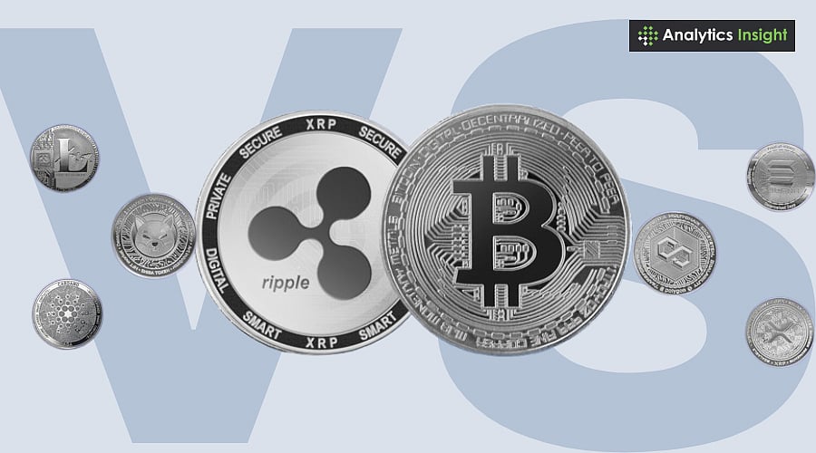 Bitcoin vs. Altcoins: What Latest Crypto Downturn Tells Us?