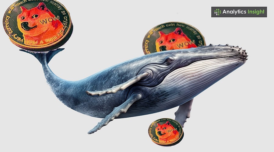 Dogecoin Whales Buy Upto 2 Billion Dogecoin Amid Price Dip