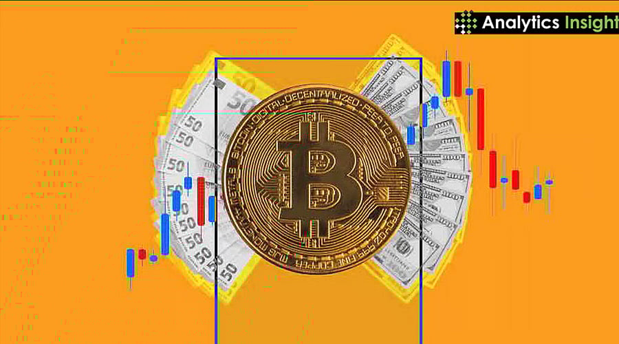 Learn Money-Making in Crypto