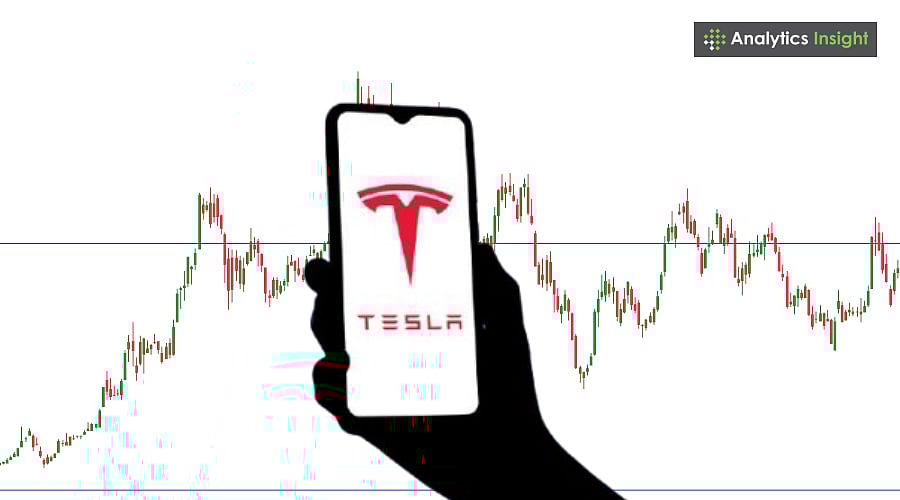 Tesla Stock Surges to $368.81, What's Next?