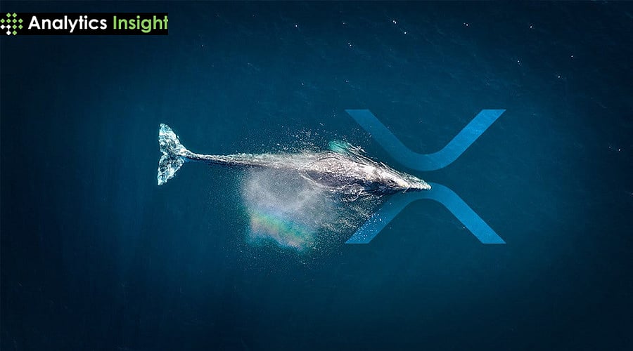 Could XRP Really Hit $10 as Whales, ETFs, and Global Adoption Drive Volatility in 2025?