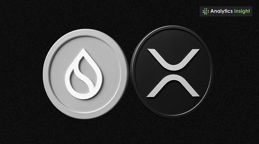 XRP and SUI: Trading at $3, but Worlds Apart