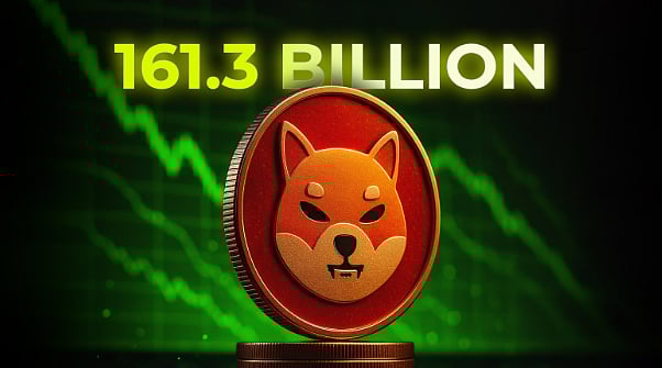 161.3 Billion Shiba Inu Tokens Leave Coinbase In A Single Transaction,  Where Are They Headed?