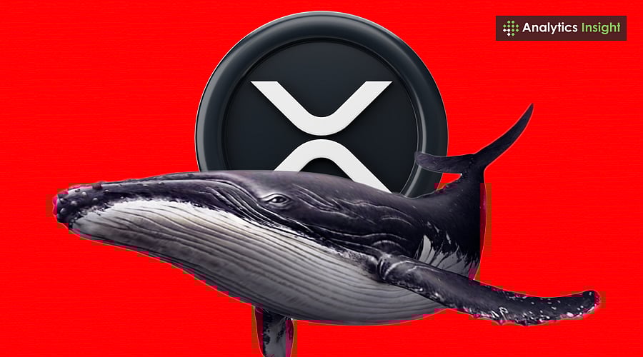 Will Whale Accumulation Push XRP Price Over $4.2 Mark?