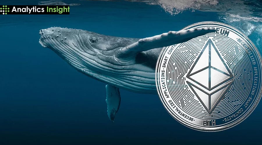 Ethereum News Today: ETH Holds $3K Support as Whales Signal Fresh  Accumulation