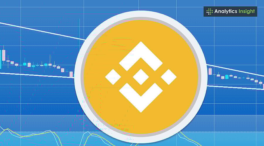 Why BNB Memecoins are Gaining Momentum in 2025