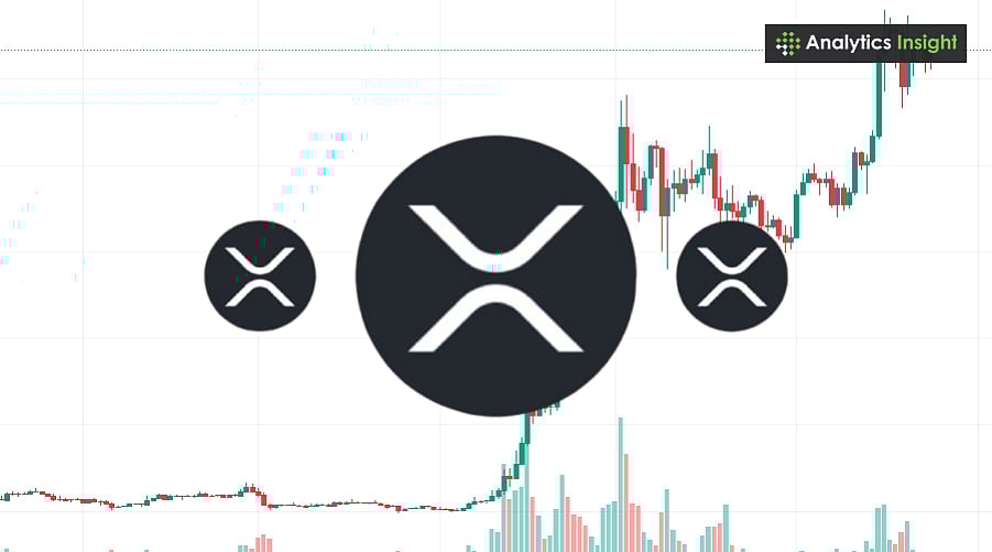 Why the Largest XRP Long Wipeout Happened