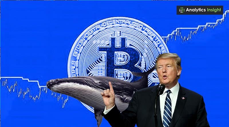Trump Insider Whale Bets $392M on Bitcoin Market Downturn