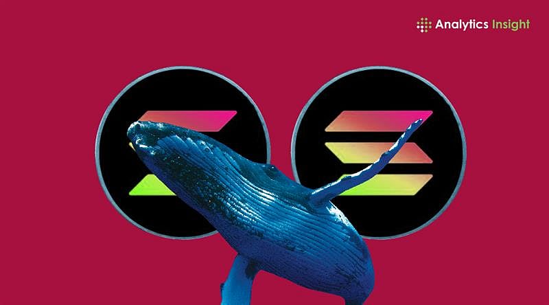 Solana News Today: Solana Whales Withdraw $169M as Price Rebounds Strongly