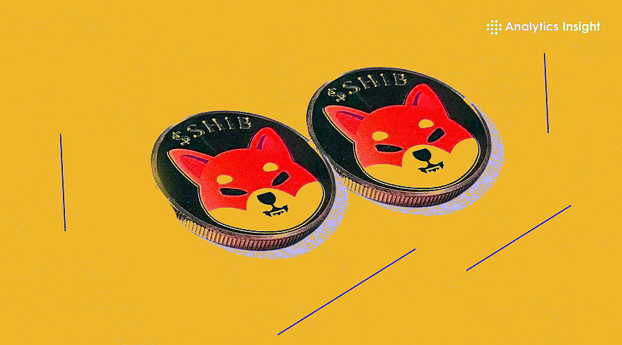 Shiba Inu Turns Bearish: Should You Buy or Bail?