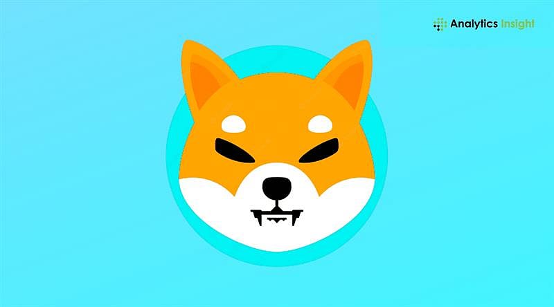 Shiba Inu Burn Rate Surges 28,554% as Volume and Price Rise