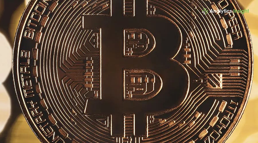 How You Can Survive a Massive Bitcoin Crash