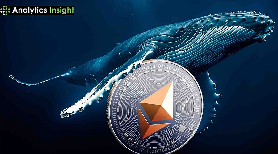 Ethereum News Today: ETH Whales Add 400,000 ETH Worth $1.37B as Investors  Position Upward