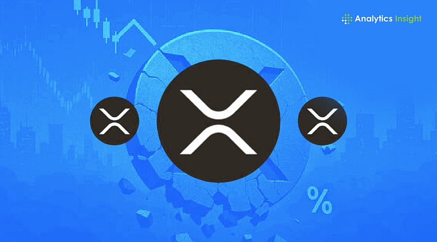 Why XRP Price Might Reach New Highs by 2029
