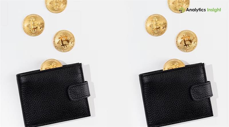 What is a Bitcoin Wallet and How to Use it?