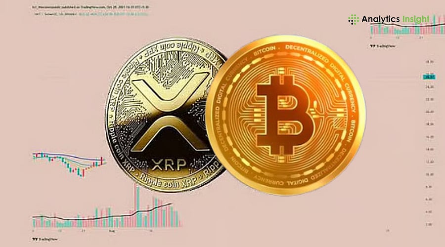 How High Should XRP Go to Rise Above Bitcoin?