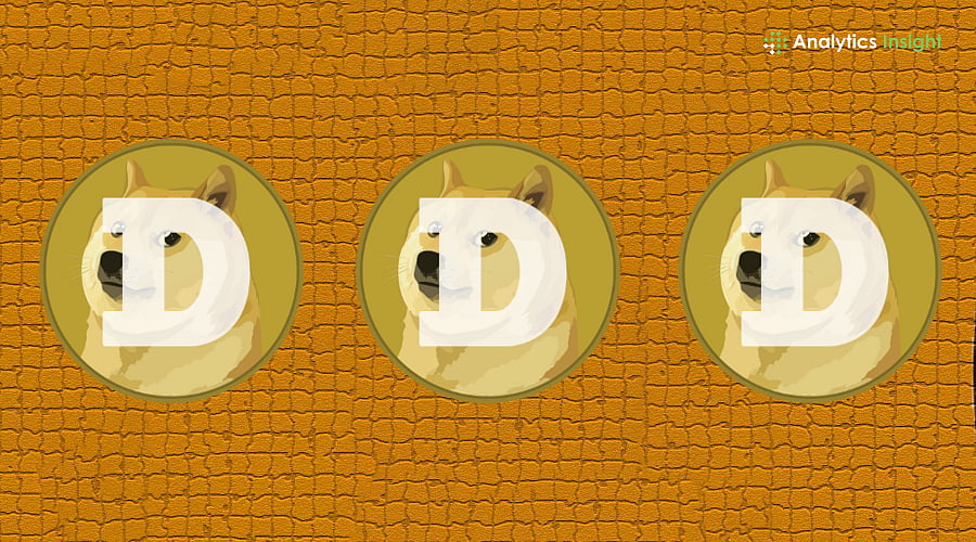 Why Dogecoin Investment is a Risky Bet Now