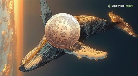 Crypto Market Update: Bitcoin Whales Sell $3.4 Billion as BTC Stalls ...