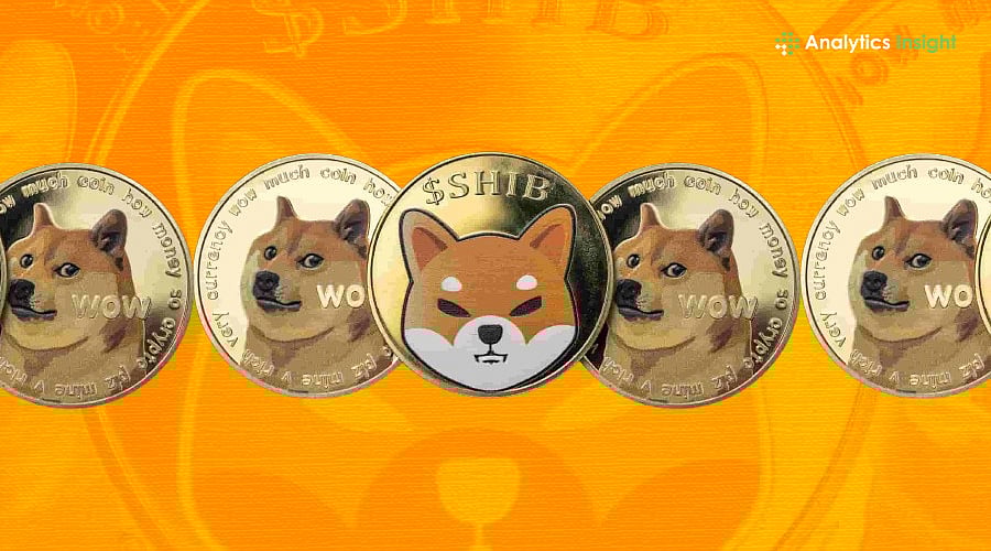 Best Dog Meme Coins to Buy in 2026
