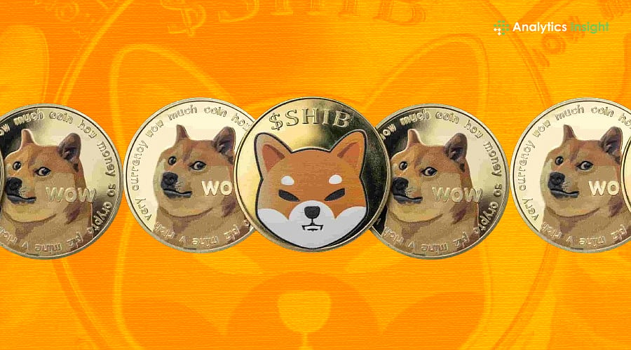 Best Dog Meme Coins to Buy in 2026