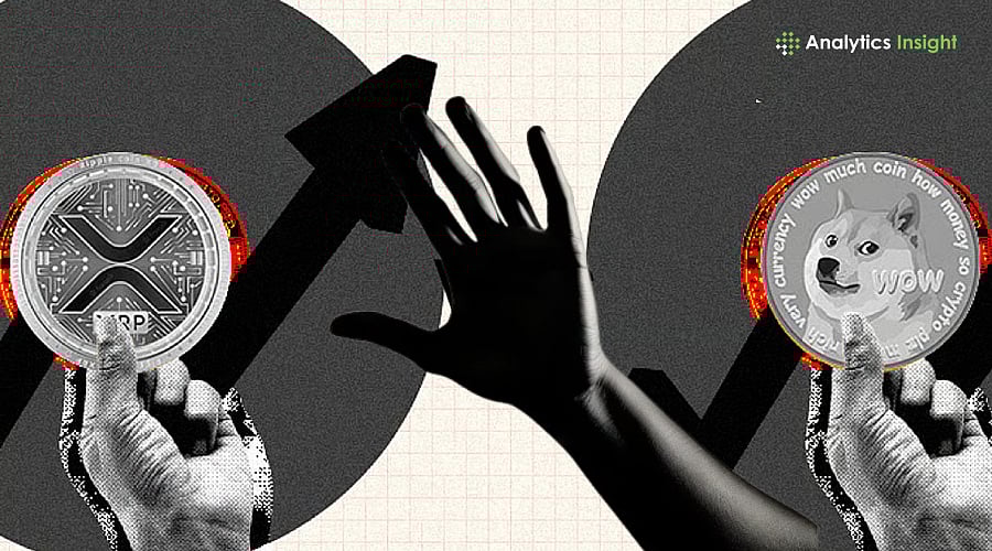 XRP vs Dogecoin: What Should You Buy?