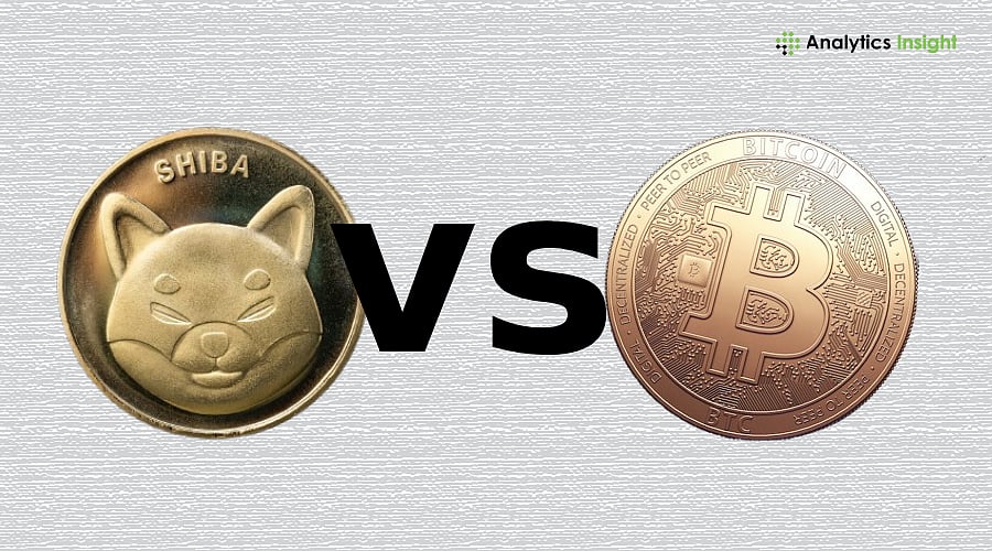 Shiba Inu vs Bitcoin: Long-Term Investment Guide