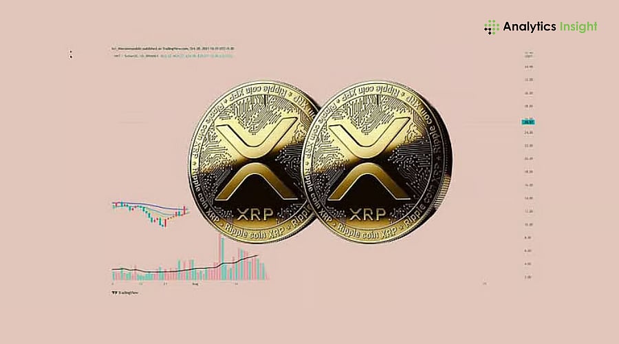 Why XRP Will Reach $10 by Next Year