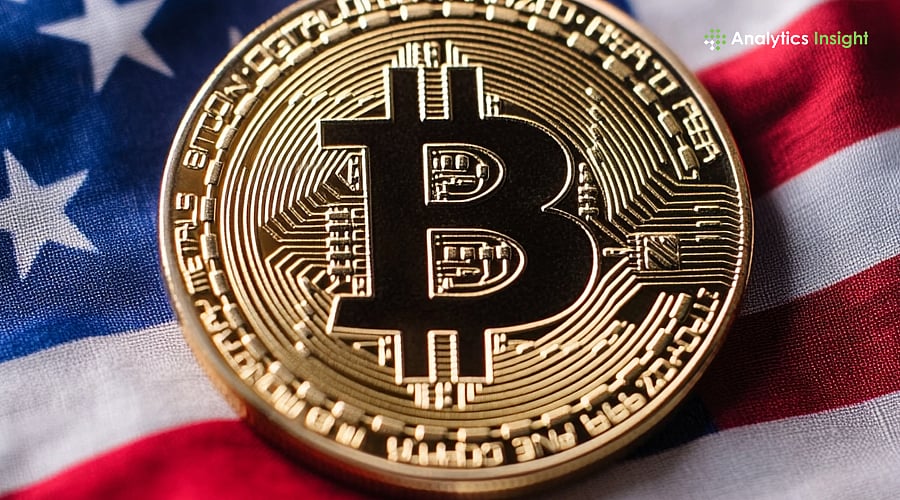 US States: Crypto, Tourism & Cultural Dynamics