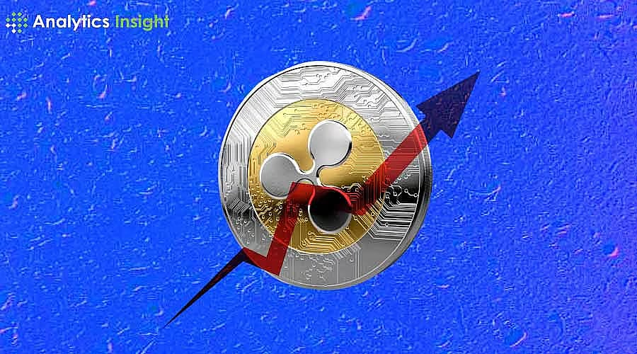 XRP Rises 25% in 2026: ETF Investments Drive Growth