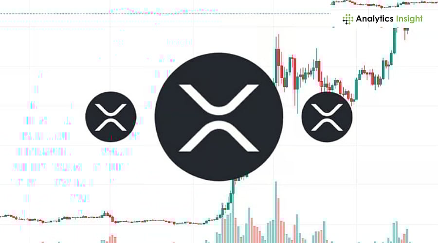 Why XRP is Still Alive: What Market Data Says About it