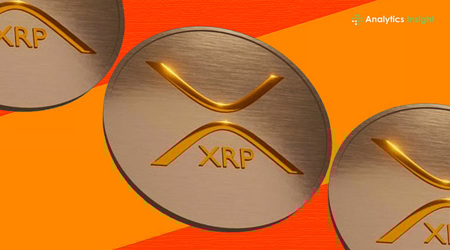 XRP Rich List: Who Controls the Supply?