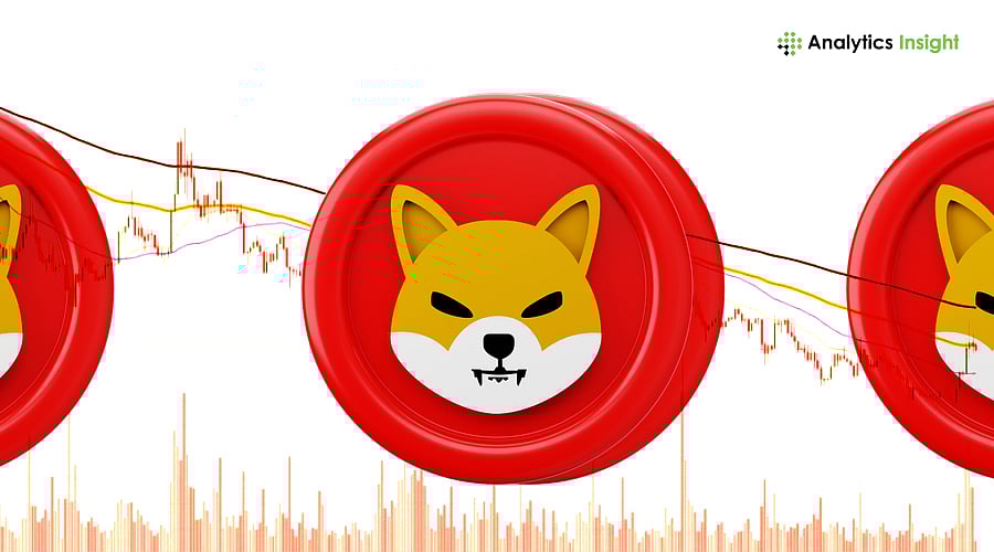 Shiba Inu Sees Major Exchange Outflows as On-Chain Data Points to Strategic  Accumulation