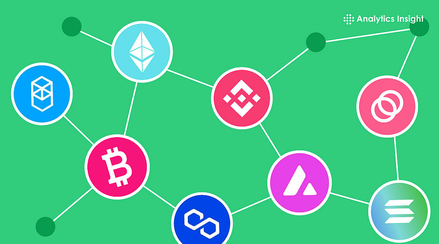 Walltes Why Cross-Chain Wallets a Hit Among Crypto Investors