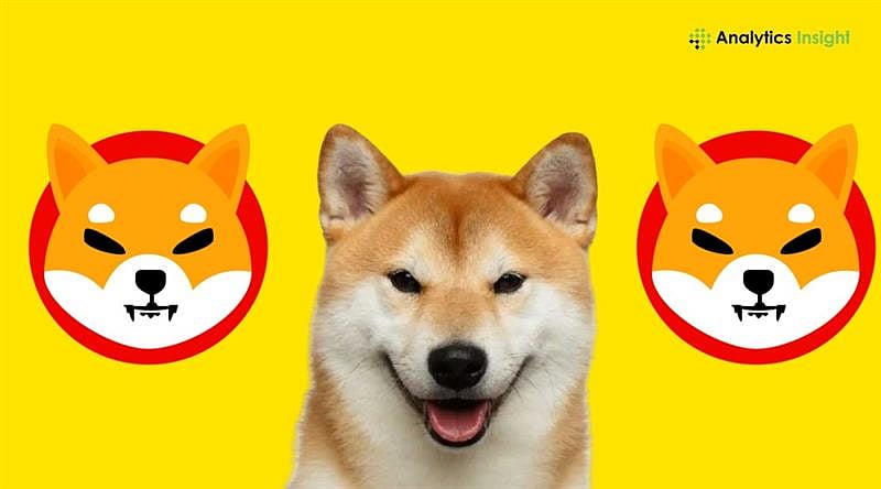 Why SHIB Might Reach $1 in 2026