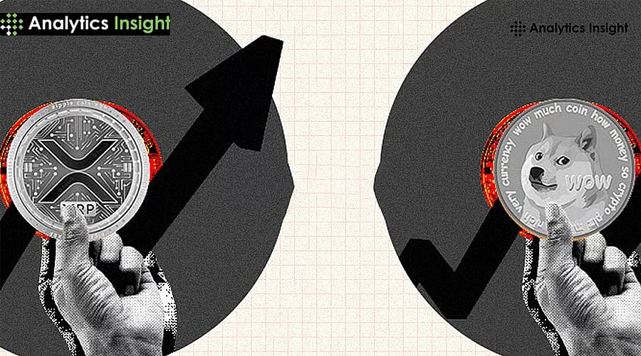 Çöküş Sırasında Hangi Kripto Daha İyi Bir Alım Seçeneğidir: XRP mi yoksa Shiba Inu mu?