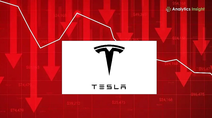 Will Tesla Stock Crash 60%? Decoding the JP Morgan Warning