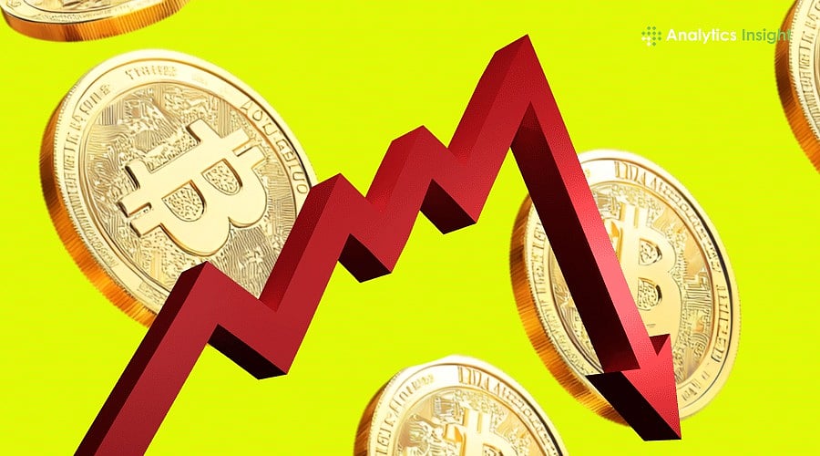 Bitcoin Falls Under $70K: Are Meme Coins Like Dogecoin and Shiba Inu in Trouble?