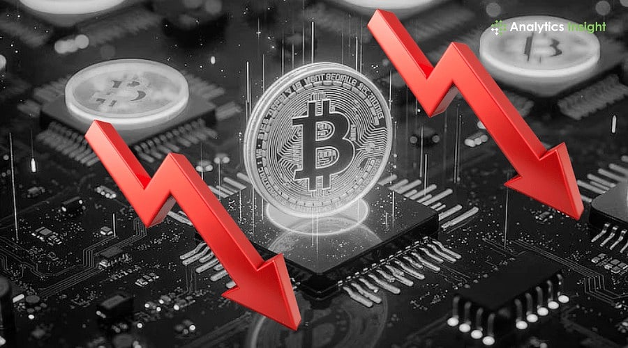 Kripto Piyasası Güncellemesi: Bitcoin Akışı, Arbitrum Donması ve DOGE'de On-Chain Hareketlilik