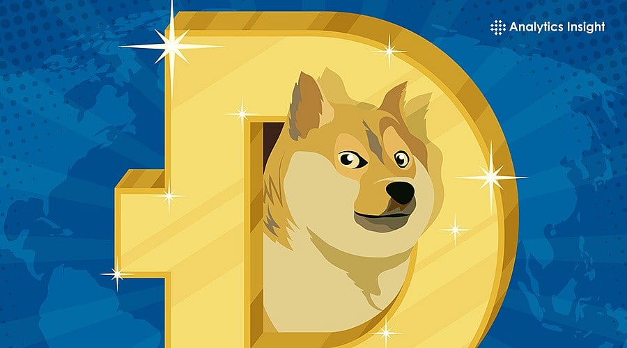 What You Should Know Before Investing in Dogecoin?