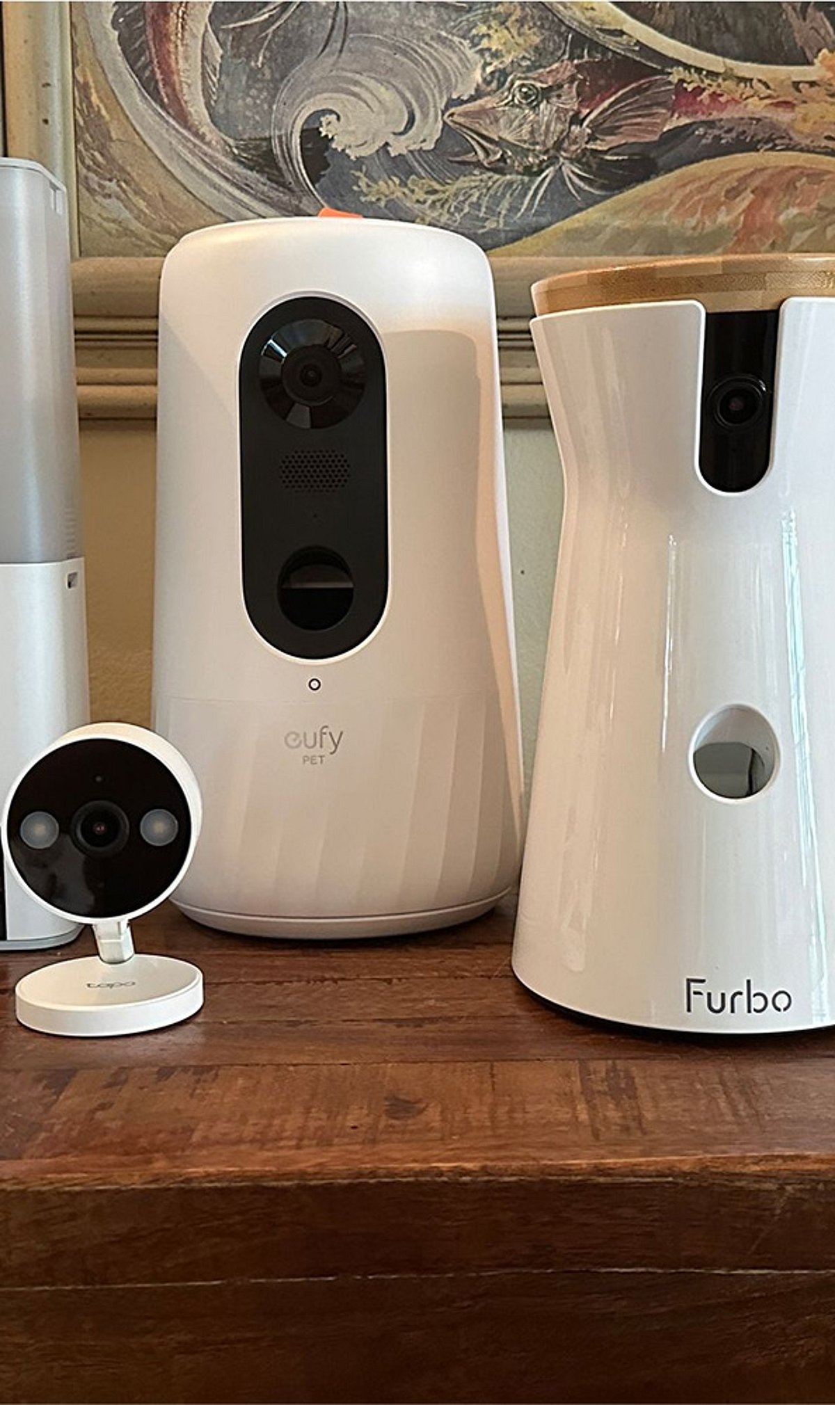 Best Pet Monitoring Cameras for 2026