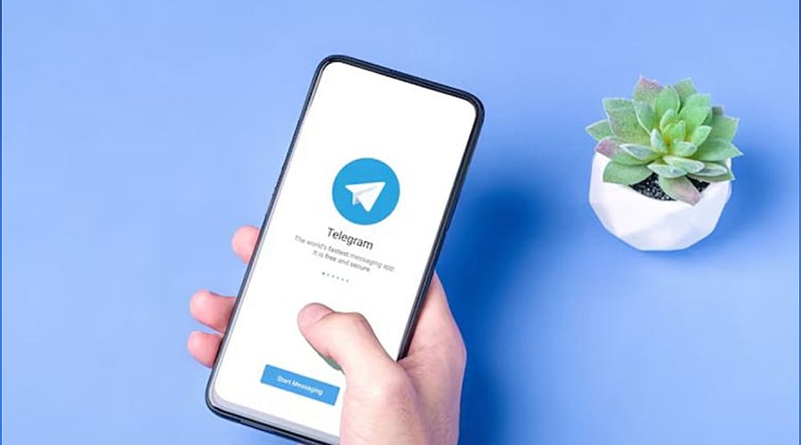 Common Telegram Crypto Scams and How to Spot Them