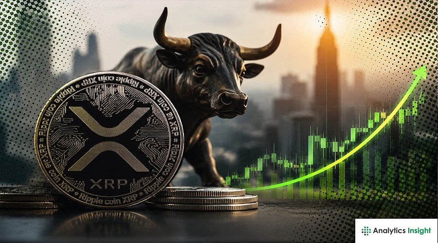 Crypto News Today: XRP ETFs Defy Bitcoin Outflows as Solana Funds Regain Momentum