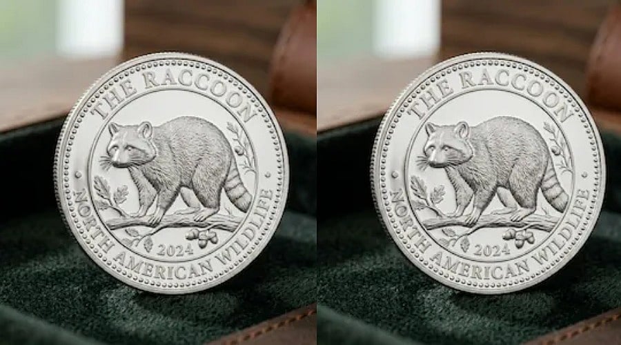 Crypto News Today: Jimothy Raccoon Meme Coin Jumps 331% After Elon Musk ...