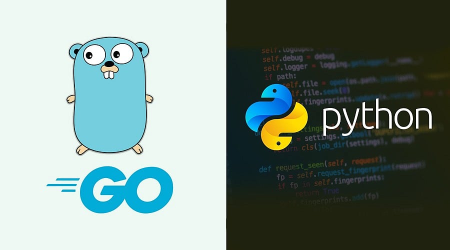 Golang vs Python for AI Development: Key Differences